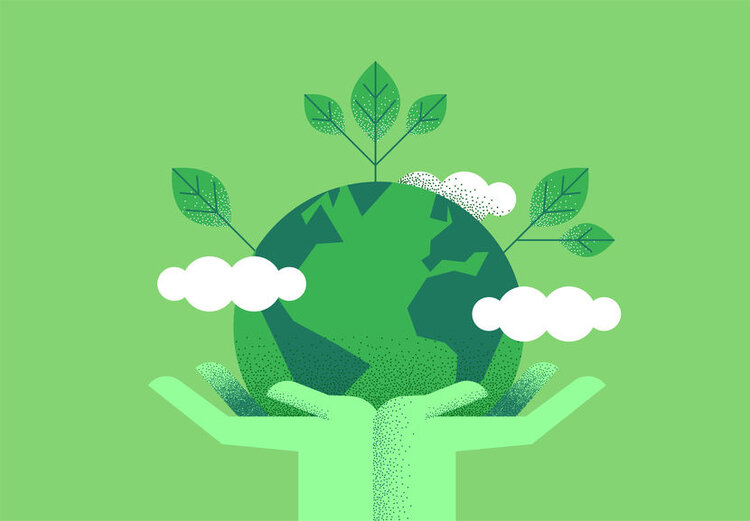 Why Should Companies Care About Sustainability